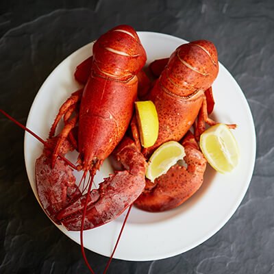 Lobster